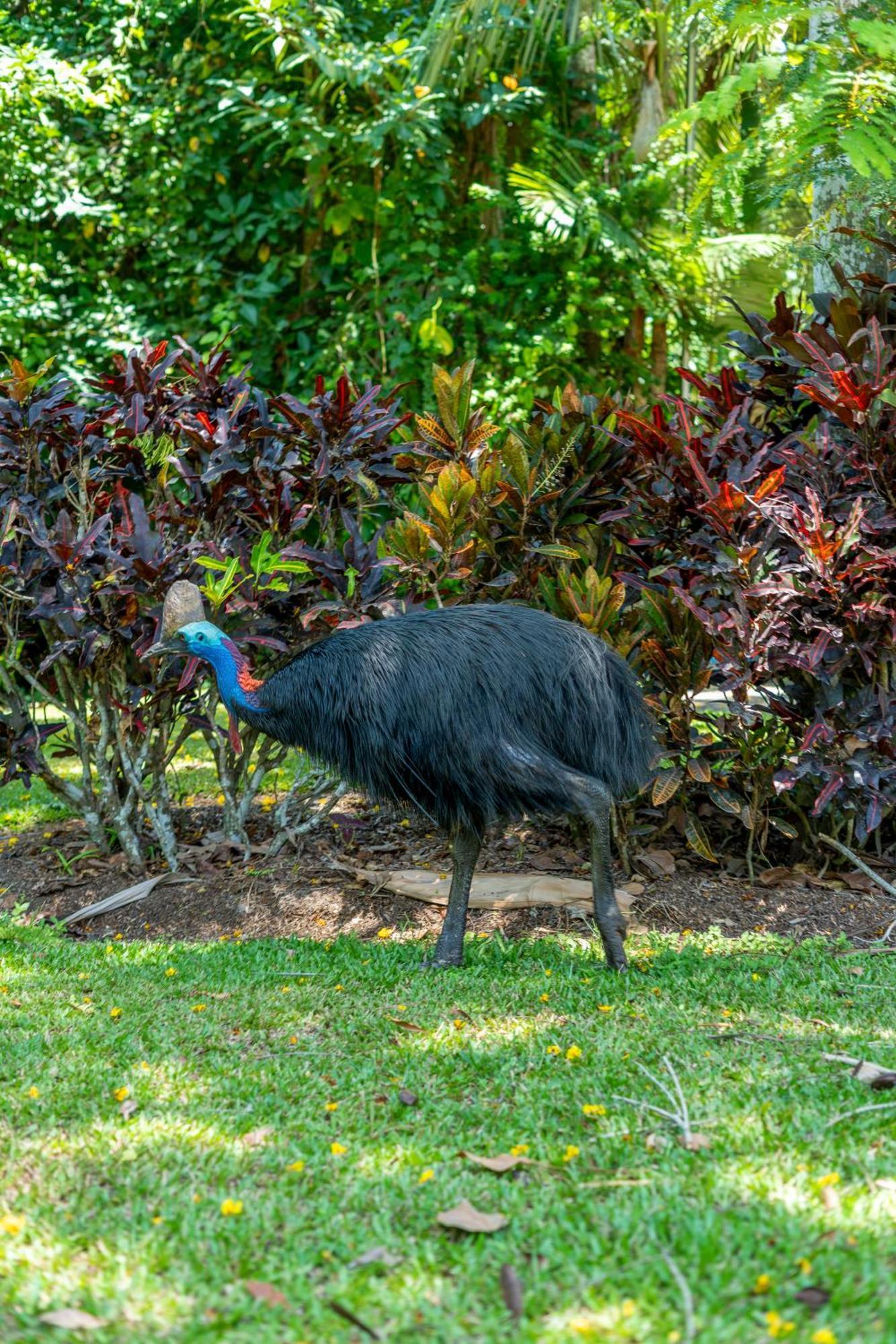 Big4 Tasman Holiday Parks - South Mission Beach Esterno foto