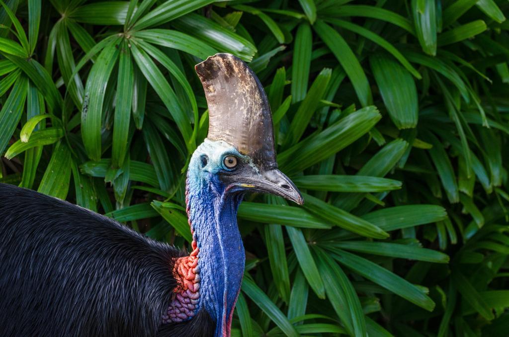 Big4 Tasman Holiday Parks - South Mission Beach Esterno foto